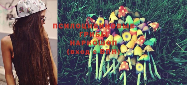 PSILOCYBIN Армянск