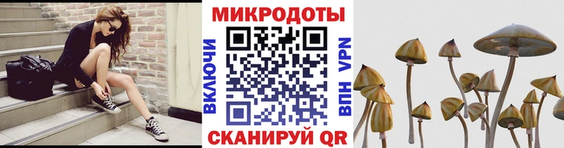 что такое наркотик  Няндома  Галлюциногенные грибы ЛСД 
