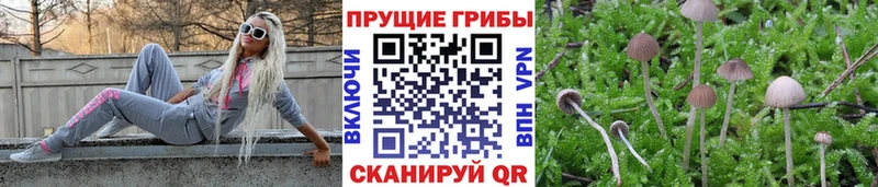 Галлюциногенные грибы прущие грибы Няндома
