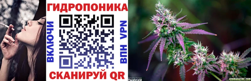 Конопля ГИДРОПОН сколько стоит Няндома